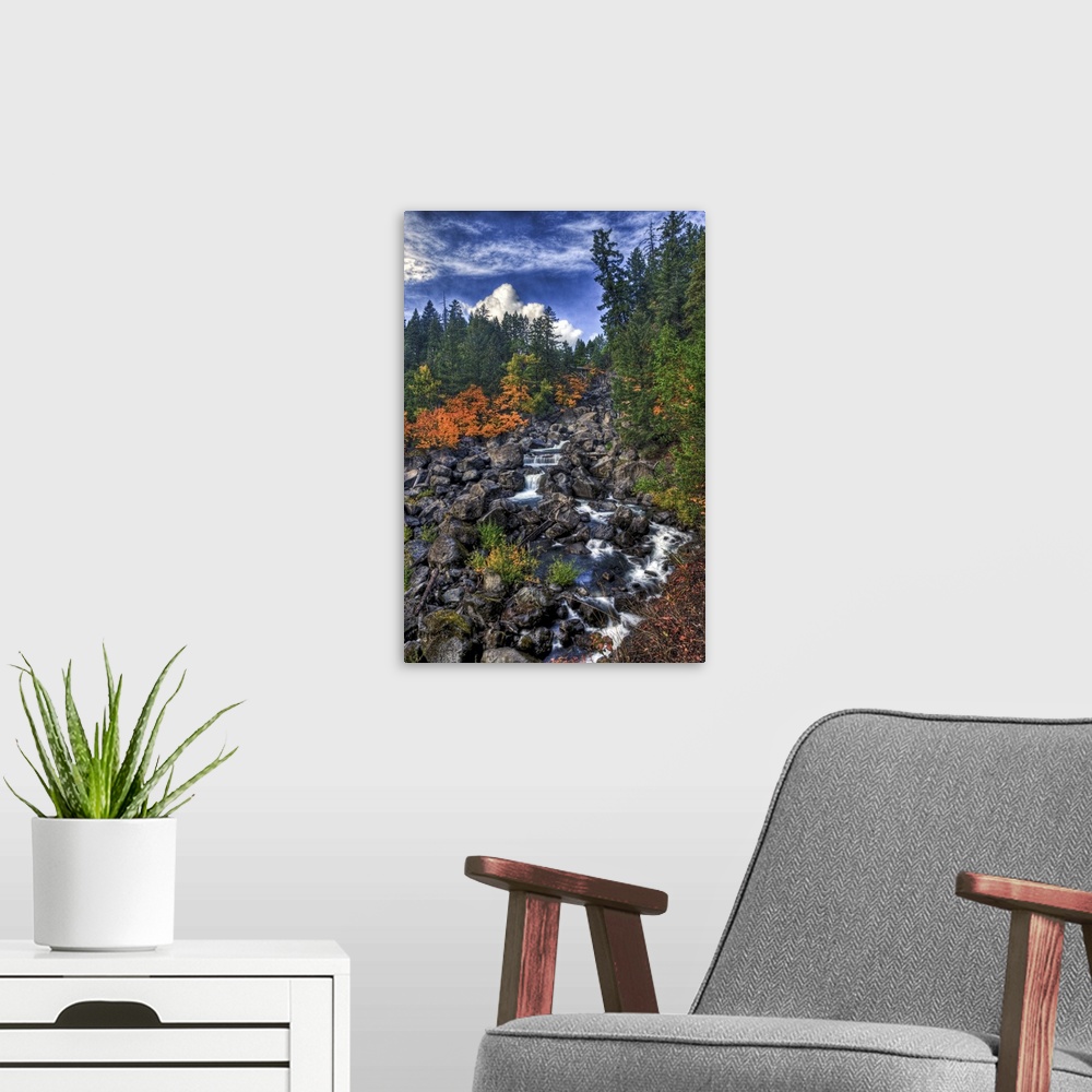 A modern room featuring A fall scene of flowing water along the Empqua River in Steamboat, Oregon.