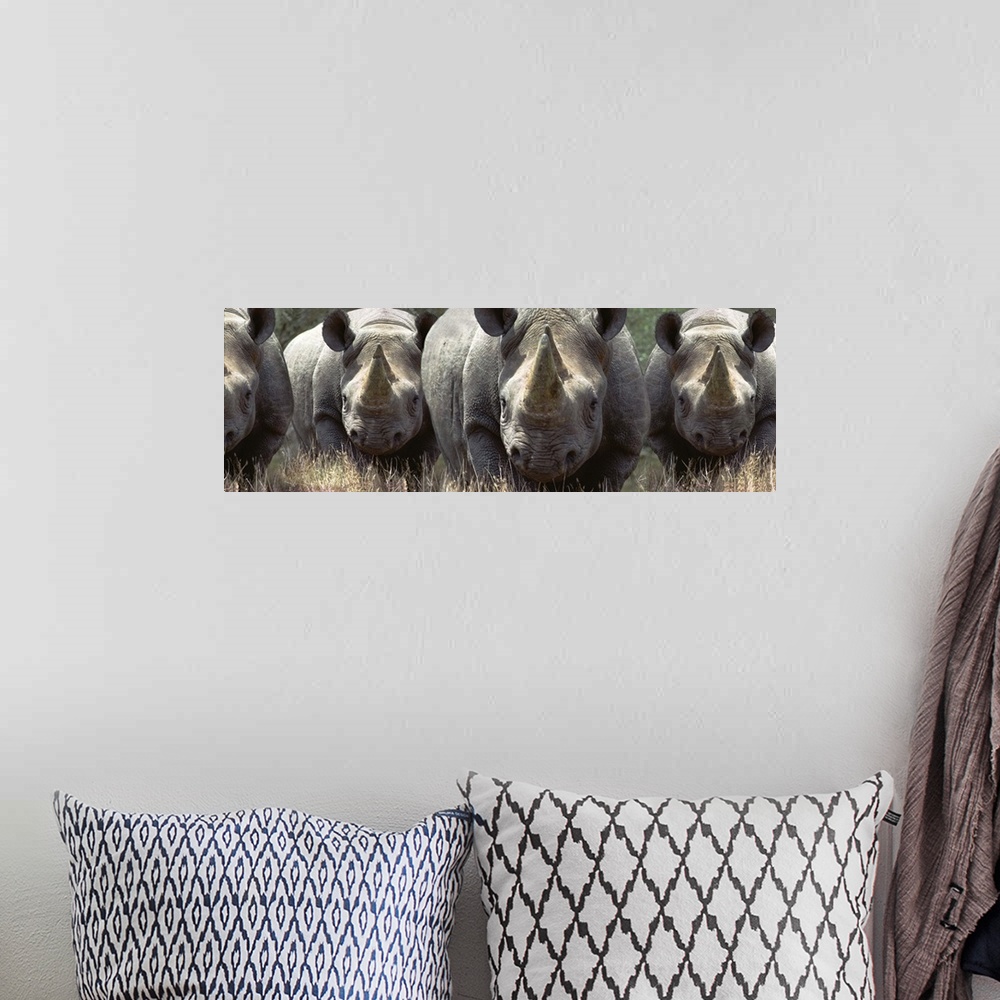 A bohemian room featuring A group of rhinos charging in the African bush.