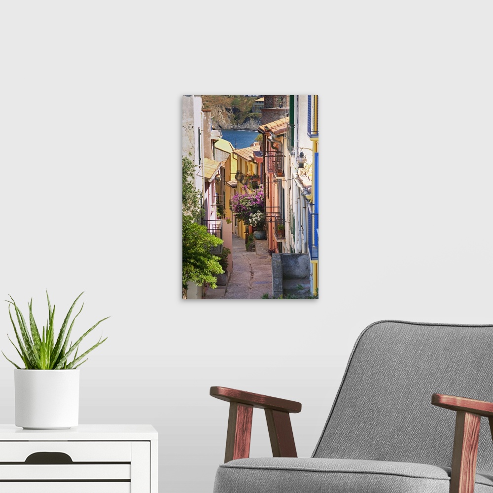 A modern room featuring A Narrow Street In The Old Town, Collioure, Roussillon, France