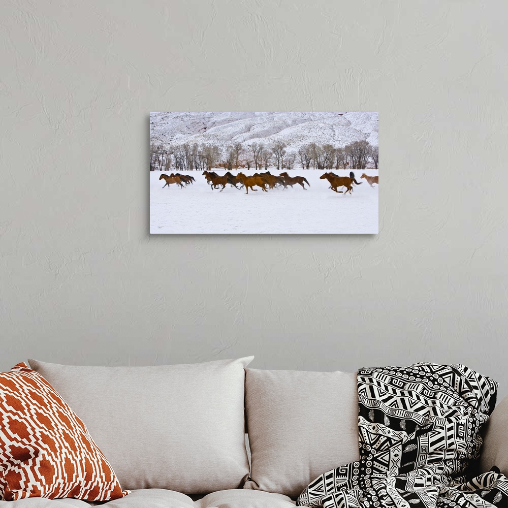 A bohemian room featuring A winter scene of running horses on The Hideout Ranch in Shell, Wyoming.