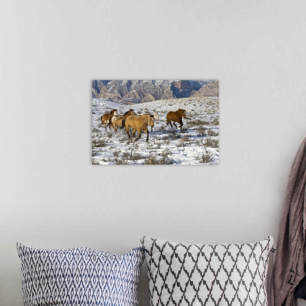 A bohemian room featuring A winter scene of running horses on The Hideout Ranch in Shell, Wyoming.