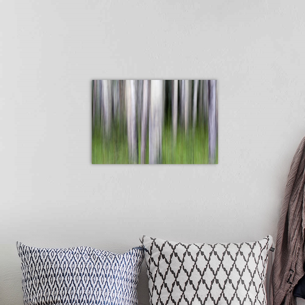 A bohemian room featuring Abstract image of aspen trees in Glacier National Park.
