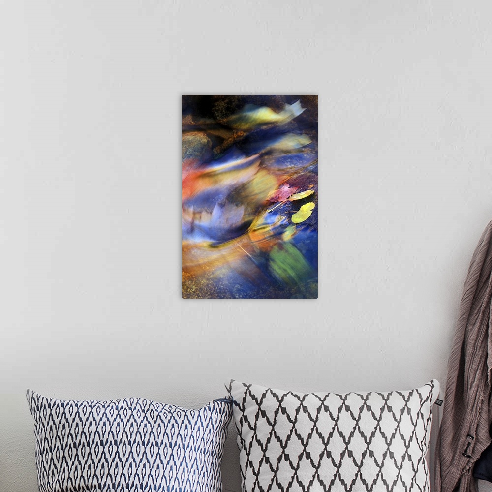A bohemian room featuring nature,Abstract of fall leaves rushing downstream