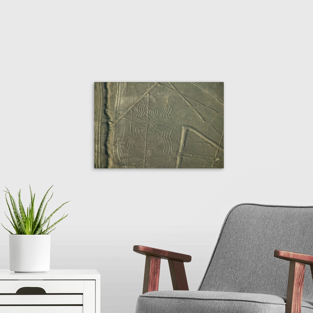 A modern room featuring Aerial view of spider drawing, Nazca Lines, Peru.