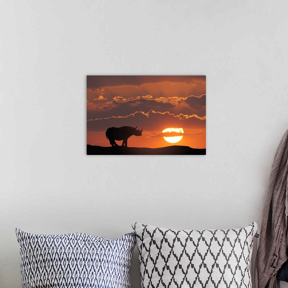A bohemian room featuring Africa, Kenya, Masai Mara Game Reserve. Composite of white rhino silhouette and sunset.