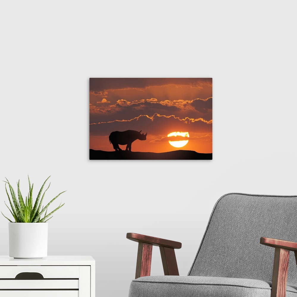 A modern room featuring Africa, Kenya, Masai Mara Game Reserve. Composite of white rhino silhouette and sunset.