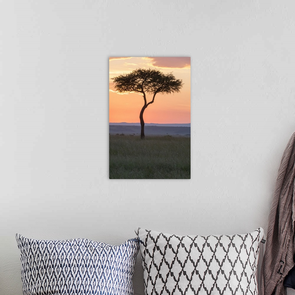A bohemian room featuring Africa, Kenya, Masai Mara National Reserve. Sunset over tree.