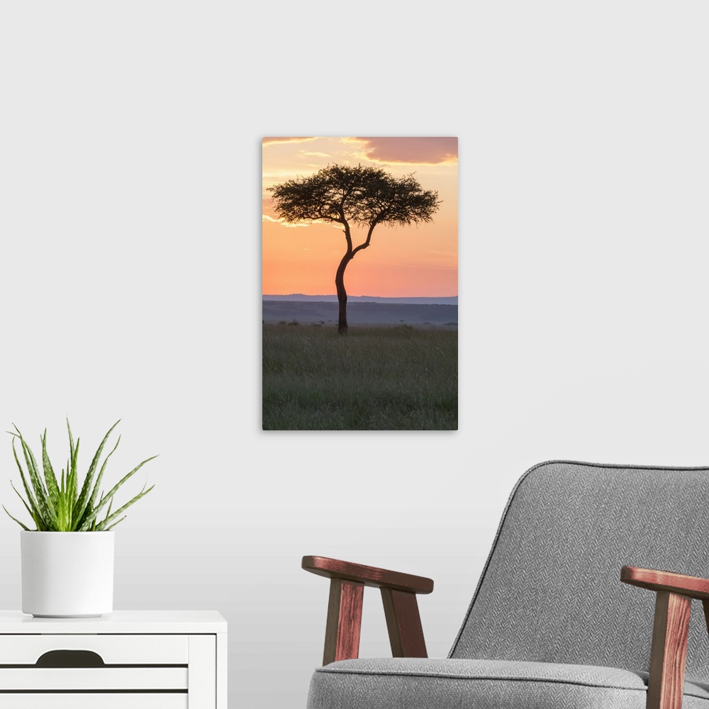 A modern room featuring Africa, Kenya, Masai Mara National Reserve. Sunset over tree.