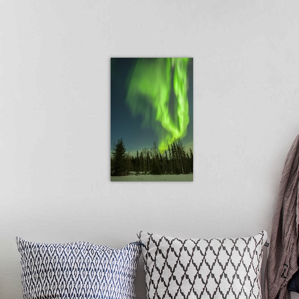 A bohemian room featuring USA, Alaska. Aurora borealis over forest.