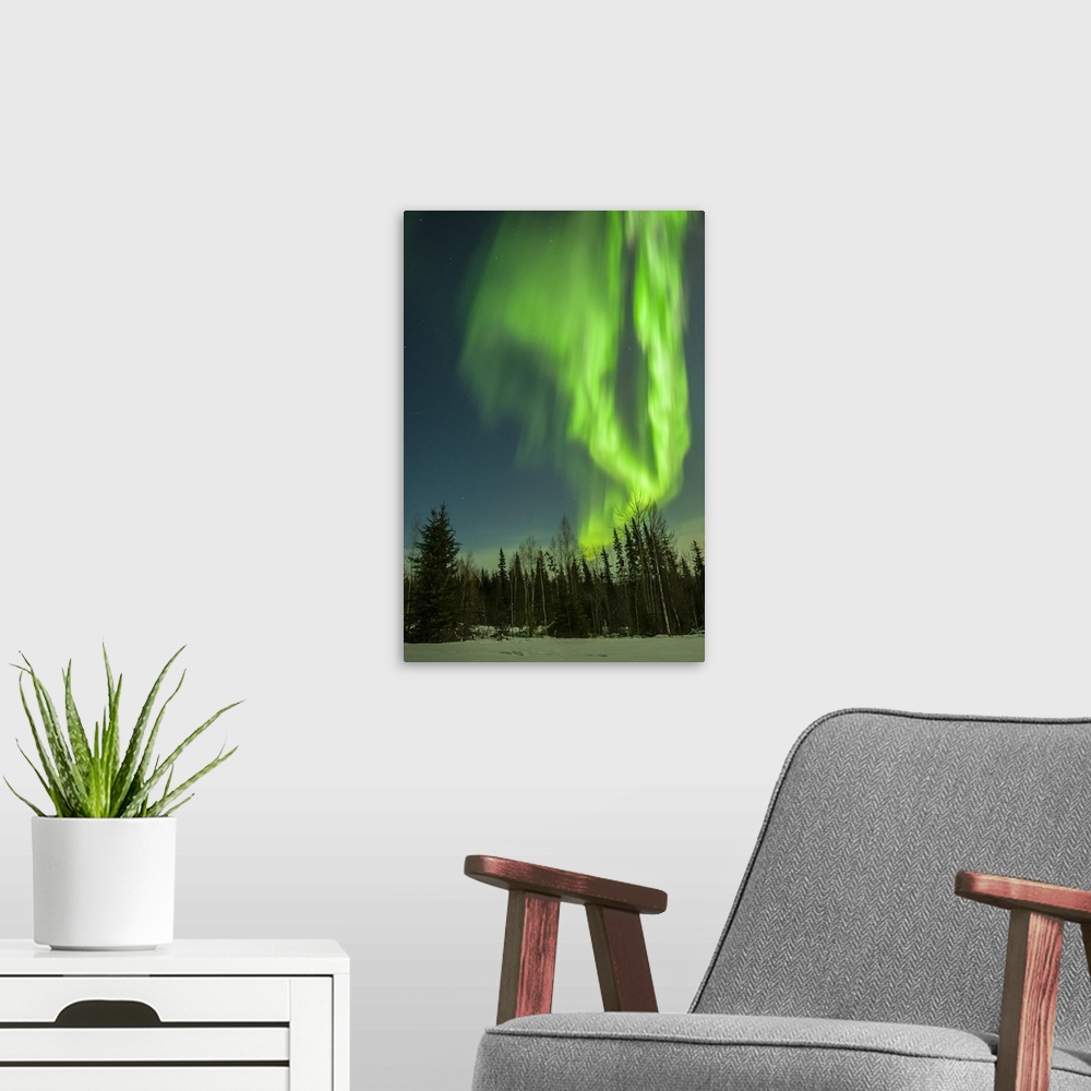 A modern room featuring USA, Alaska. Aurora borealis over forest.