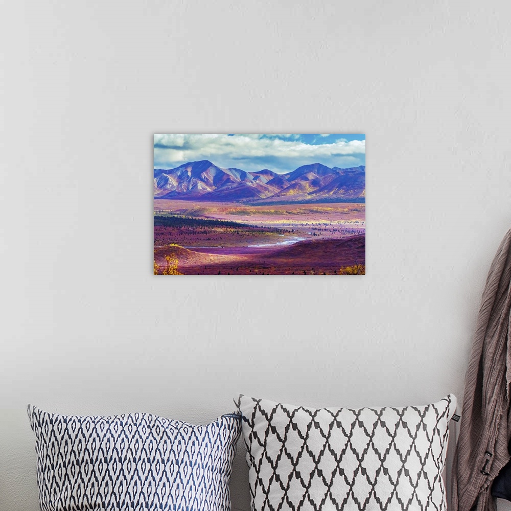 A bohemian room featuring Alaska, Denali National Park, Autumn Landscape Of Valley And Mountains