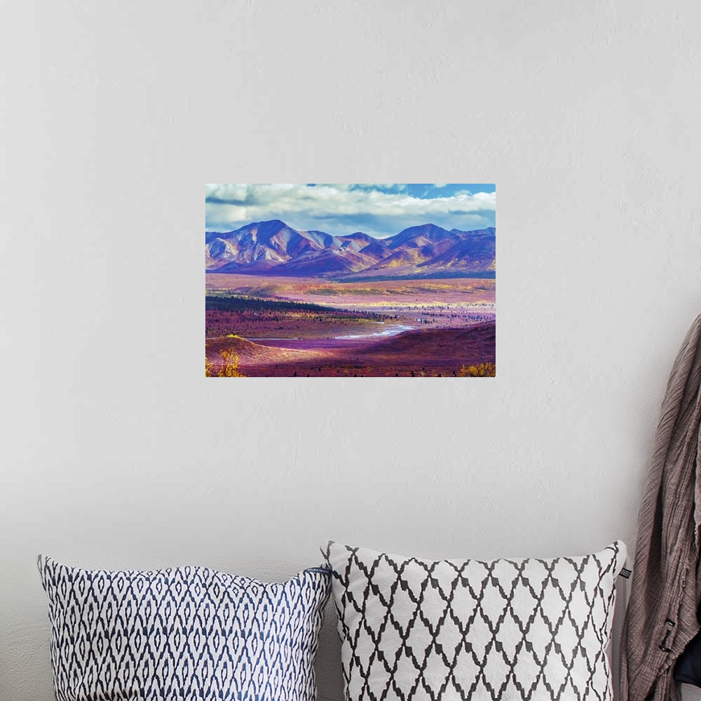 A bohemian room featuring Alaska, Denali National Park, Autumn Landscape Of Valley And Mountains