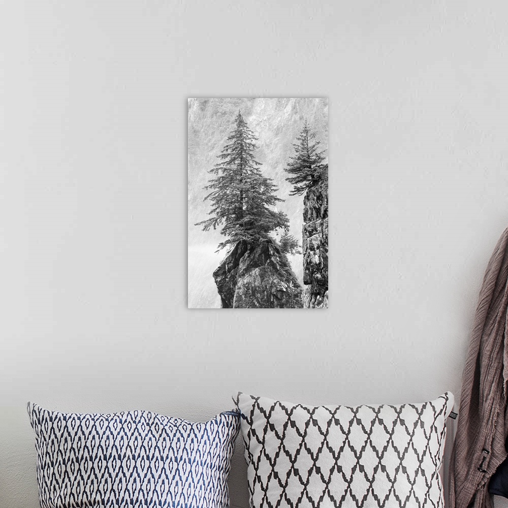 A bohemian room featuring Alaska, Kenai Peninsula, Black And White Image Of Pine Tree On A Monolith