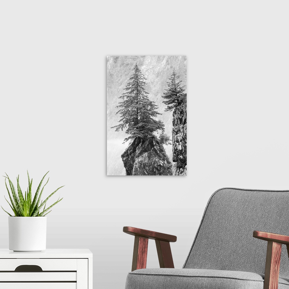 A modern room featuring Alaska, Kenai Peninsula, Black And White Image Of Pine Tree On A Monolith