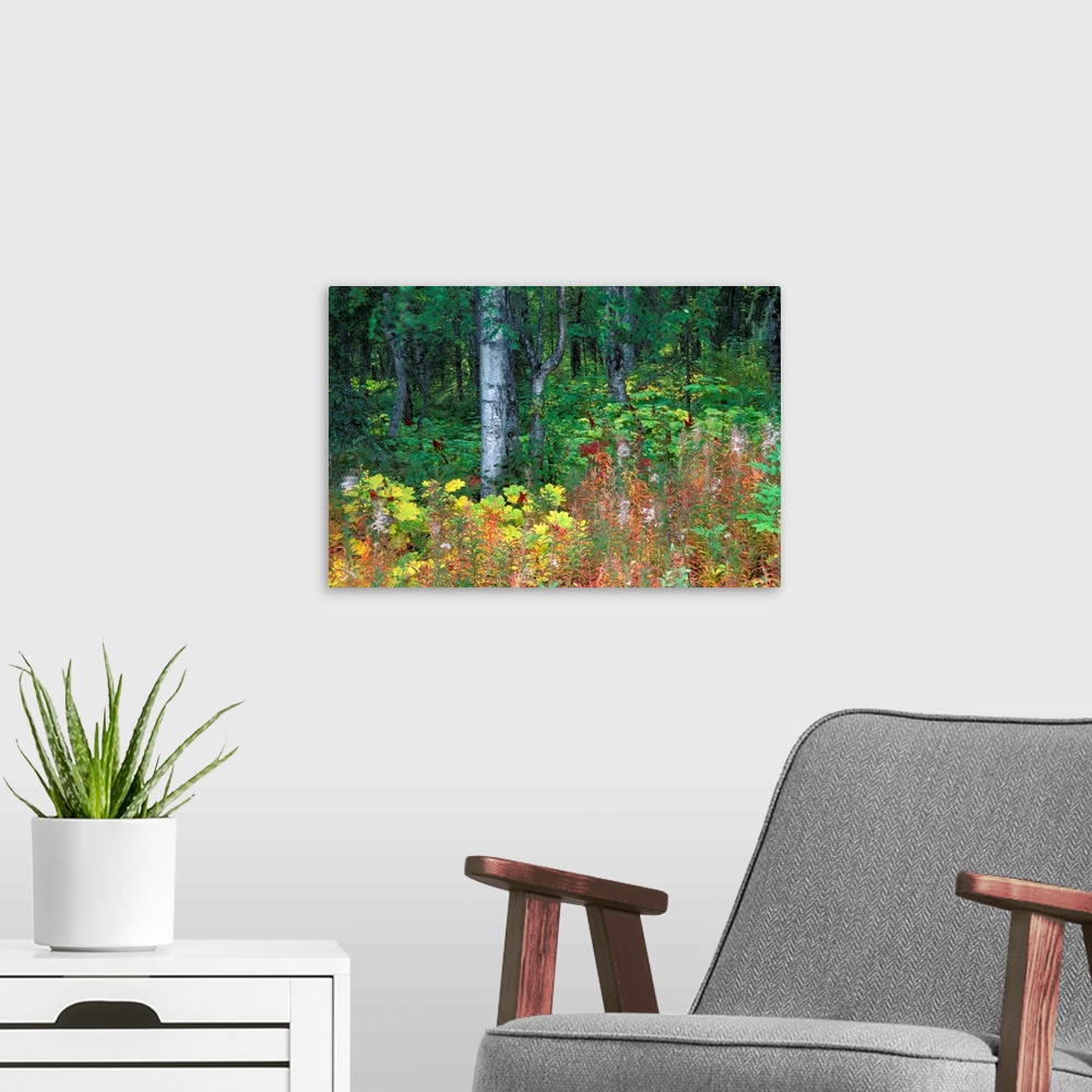 A modern room featuring Alaska, Parks Highway, Mile 120, Paper Birch, Fireweed and Devil's Club