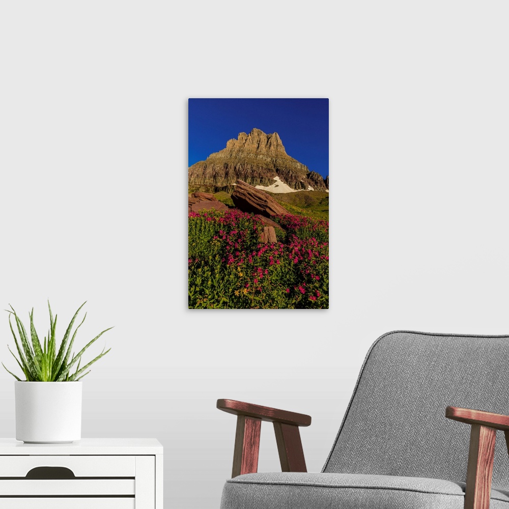 A modern room featuring Alpine wildflowers with Mount Clements at Logan Pass in Glacier National Park, Montana, USA