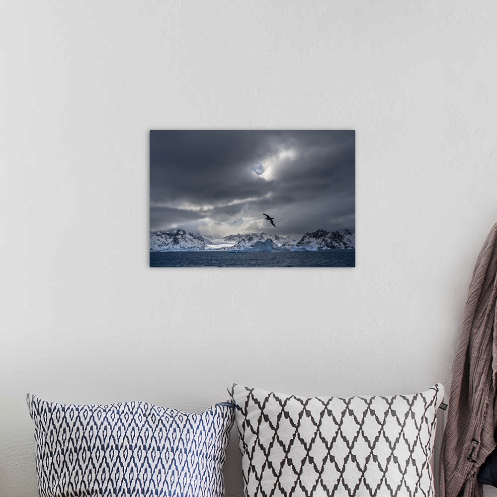 A bohemian room featuring Antarctica, South Georgia island. Stormy sunset on glacier and flying bird.