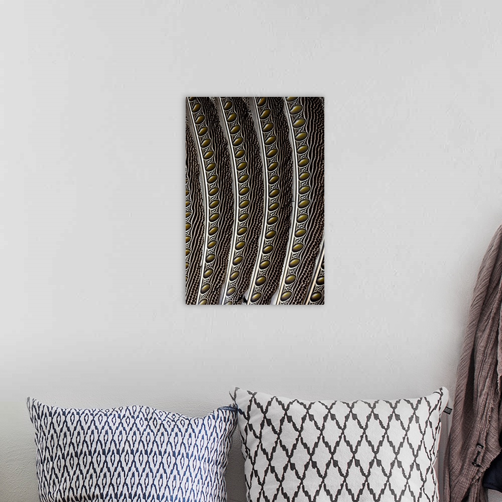 A bohemian room featuring Argus Pheasant wing feather design with patterns and spots.