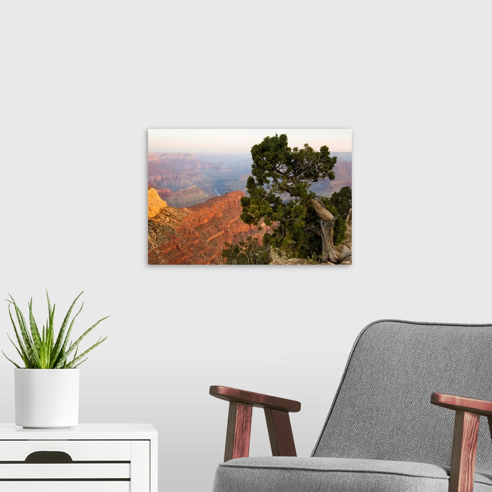 A modern room featuring Arizona, Grand Canyon National Point, Grand Canyon at Dawn from Hopi Point.
