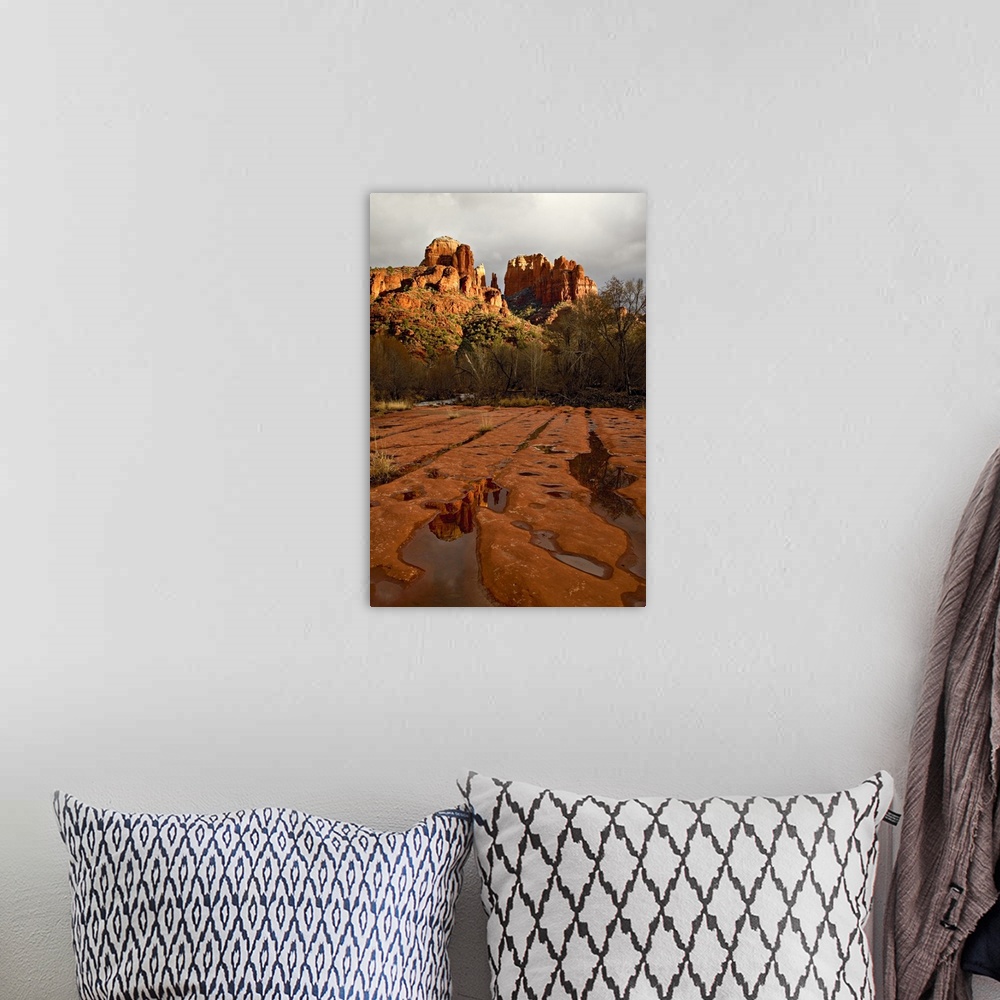 A bohemian room featuring USA, Arizona, Sedona, Red Rock Crossing. View of Cathedral Rocks at sunset.