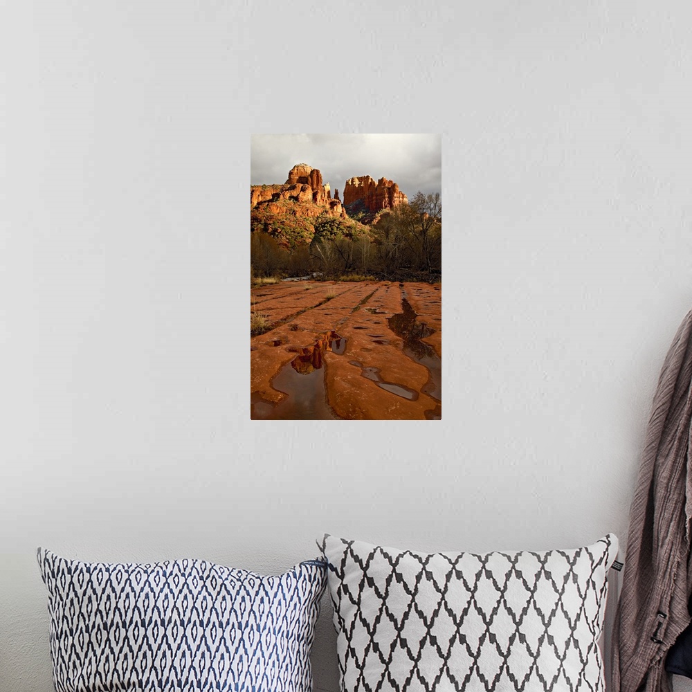 A bohemian room featuring USA, Arizona, Sedona, Red Rock Crossing. View of Cathedral Rocks at sunset.