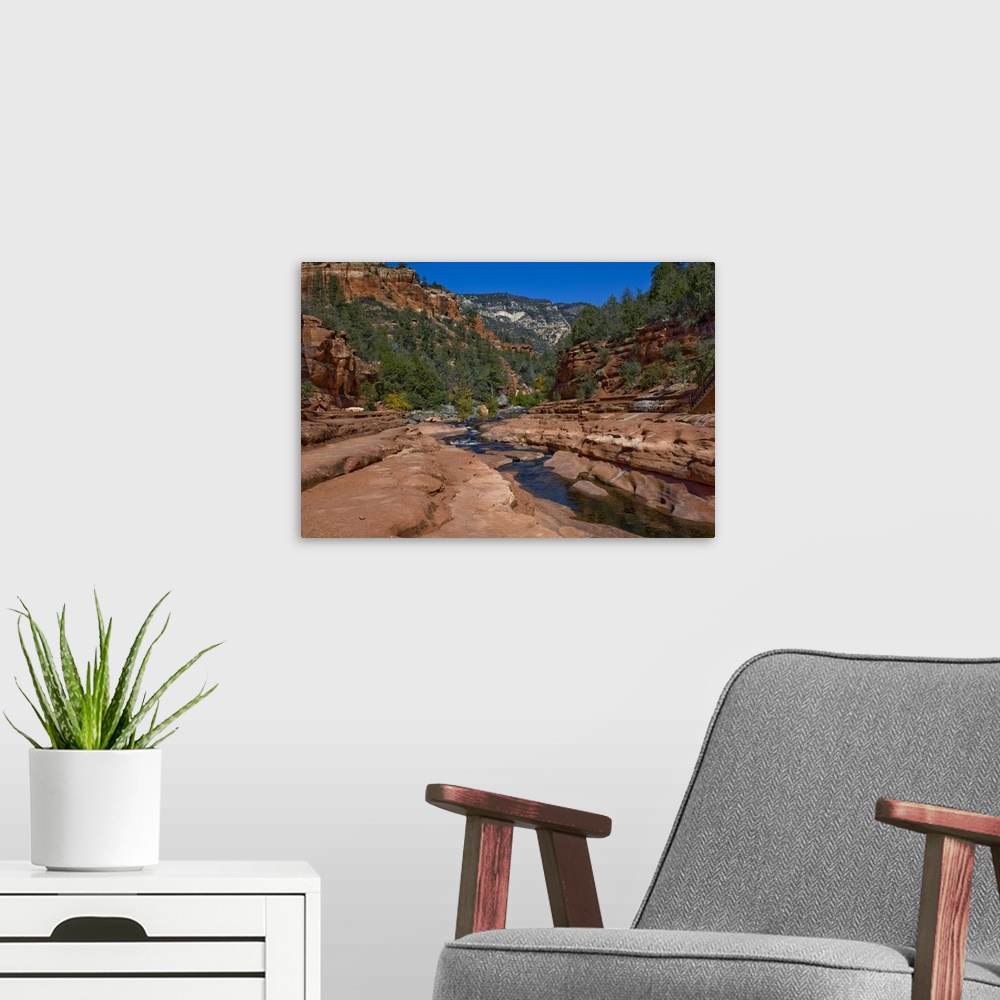 A modern room featuring USA, Arizona, Slide Rock State Park, Oak Creek.