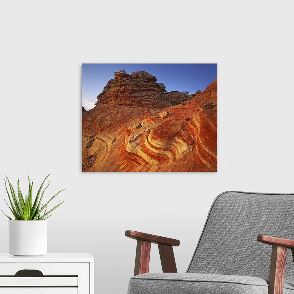 A modern room featuring USA, Arizona, Vermilion Cliffs National Monument, Paria-Vermilion Cliffs Wilderness, Sandstone.