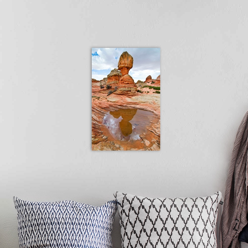 A bohemian room featuring USA, Arizona, Vermillion Cliffs National Monument. Water pool in sandstone formations in South Co...