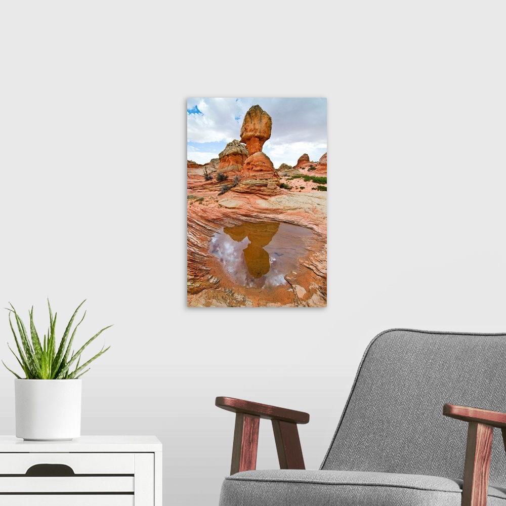 A modern room featuring USA, Arizona, Vermillion Cliffs National Monument. Water pool in sandstone formations in South Co...