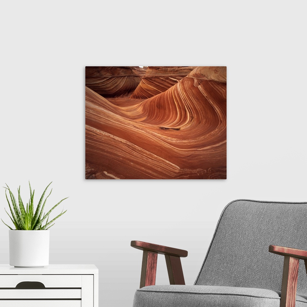 A modern room featuring USA, Arizona, Wave, Coyote Buttes area of Paria Canyon, Vermilion Cliffs Wilderness Area.