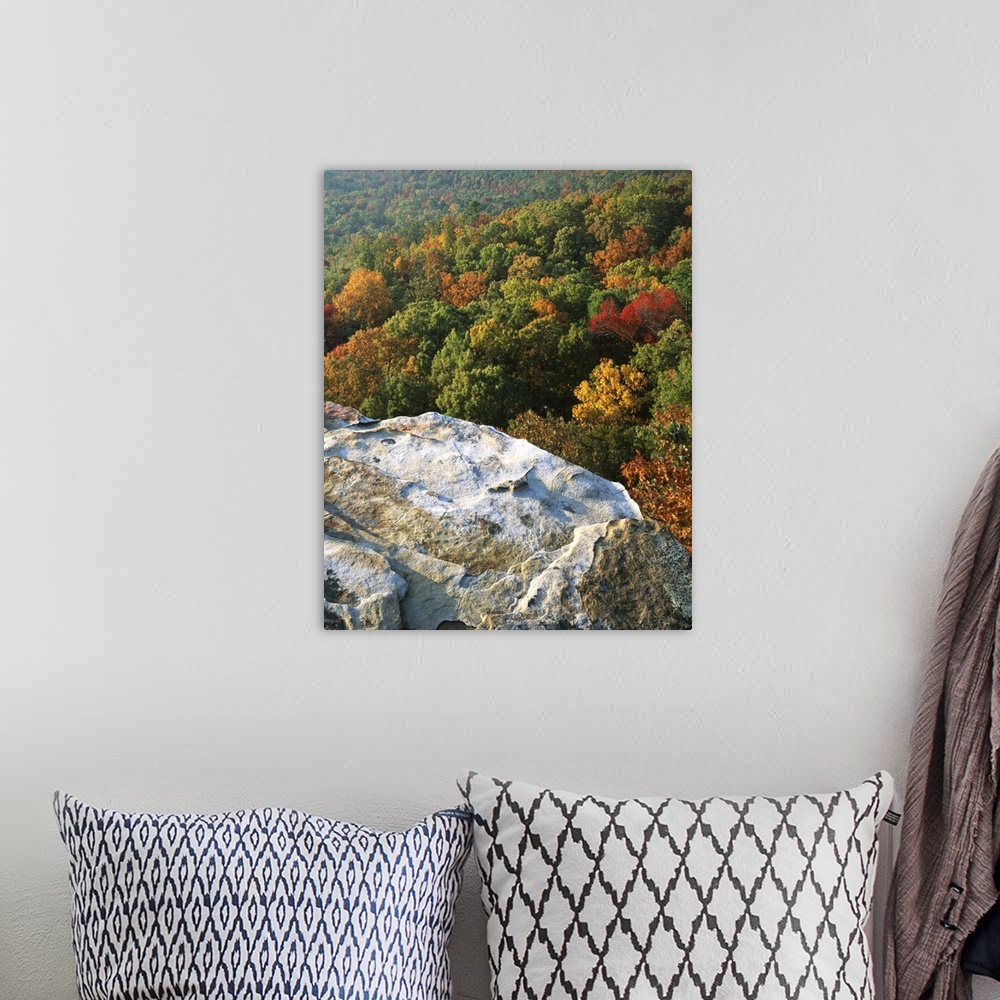 A bohemian room featuring USA, Arkansas, Ozark-St. Francis National Forest, Autumn at White Rocks