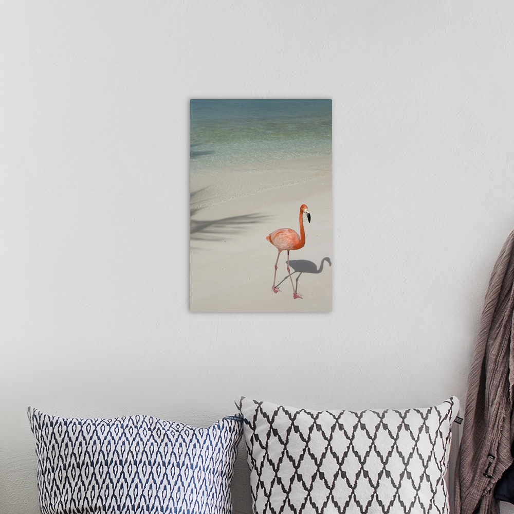 A bohemian room featuring Aruba, Renaissance Island, pink flamingo