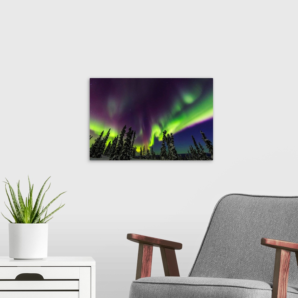A modern room featuring Aurora borealis, northern lights, near Fairbanks, Alaska.