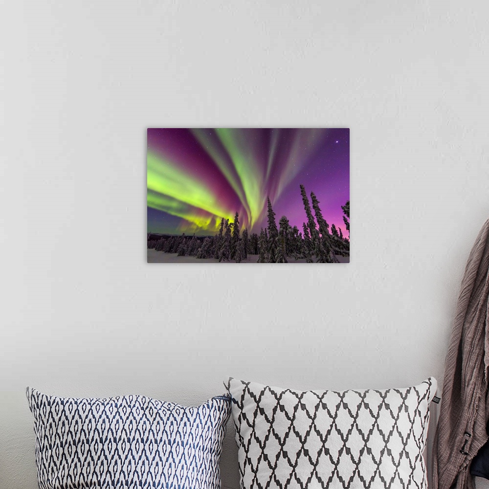 A bohemian room featuring Aurora borealis, northern lights, near Fairbanks, Alaska.