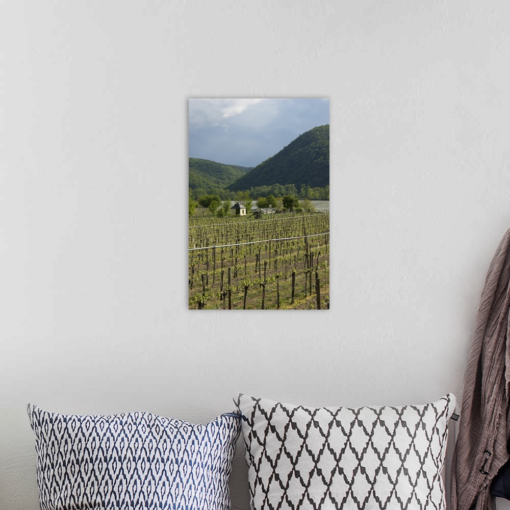 A bohemian room featuring Europe, Austria, Wachau Valley, Lower Austria, Durnstein, vineyard