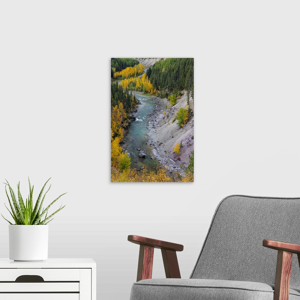 A modern room featuring USA, North America, Montana. Autumn Color Along The Middle Fork Of The Flathead River In Glacier ...