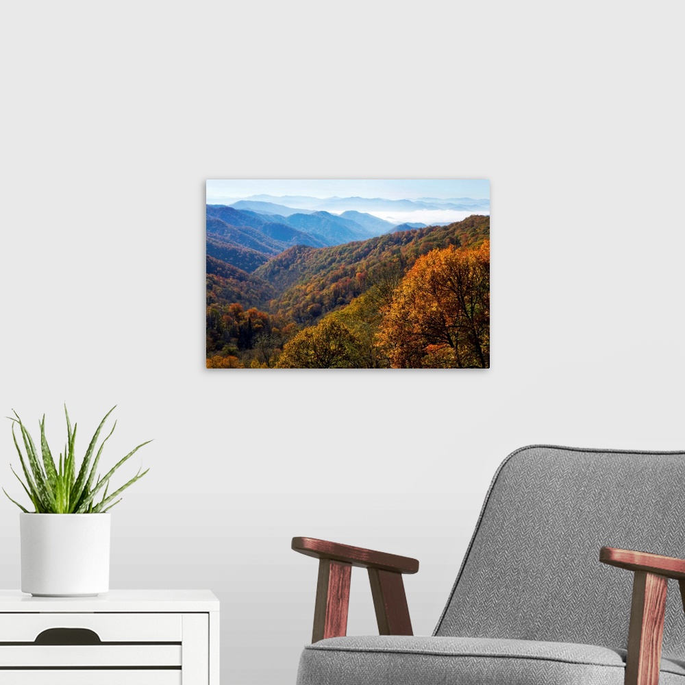 A modern room featuring Autumn color on trees, mountain vista, fog in valley, Great Smoky Mountain National Park, Tennessee
