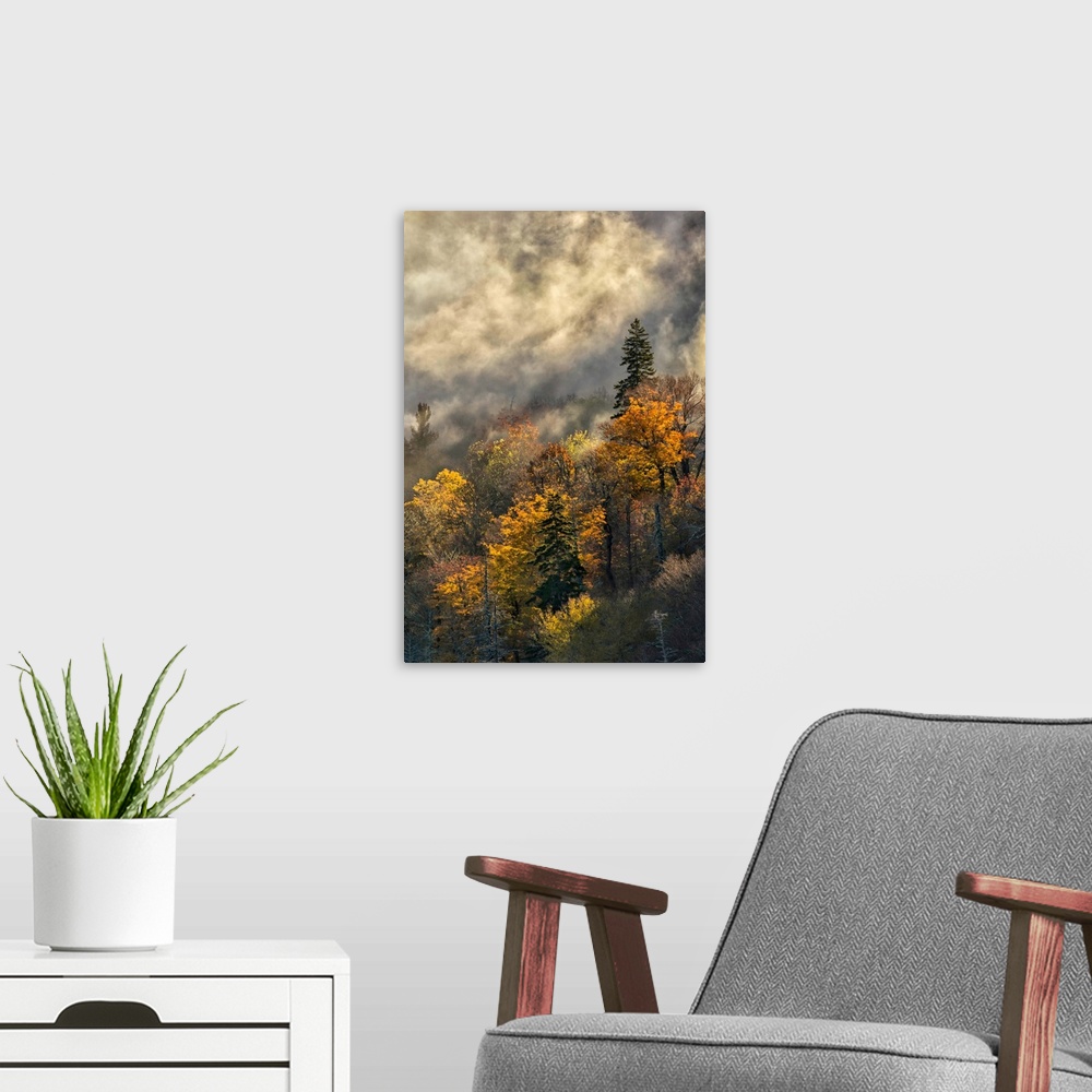 A modern room featuring Autumn Colors and mist at sunrise, Blue Ridge Mountains from Blue Ridge Parkway at sunrise, North...