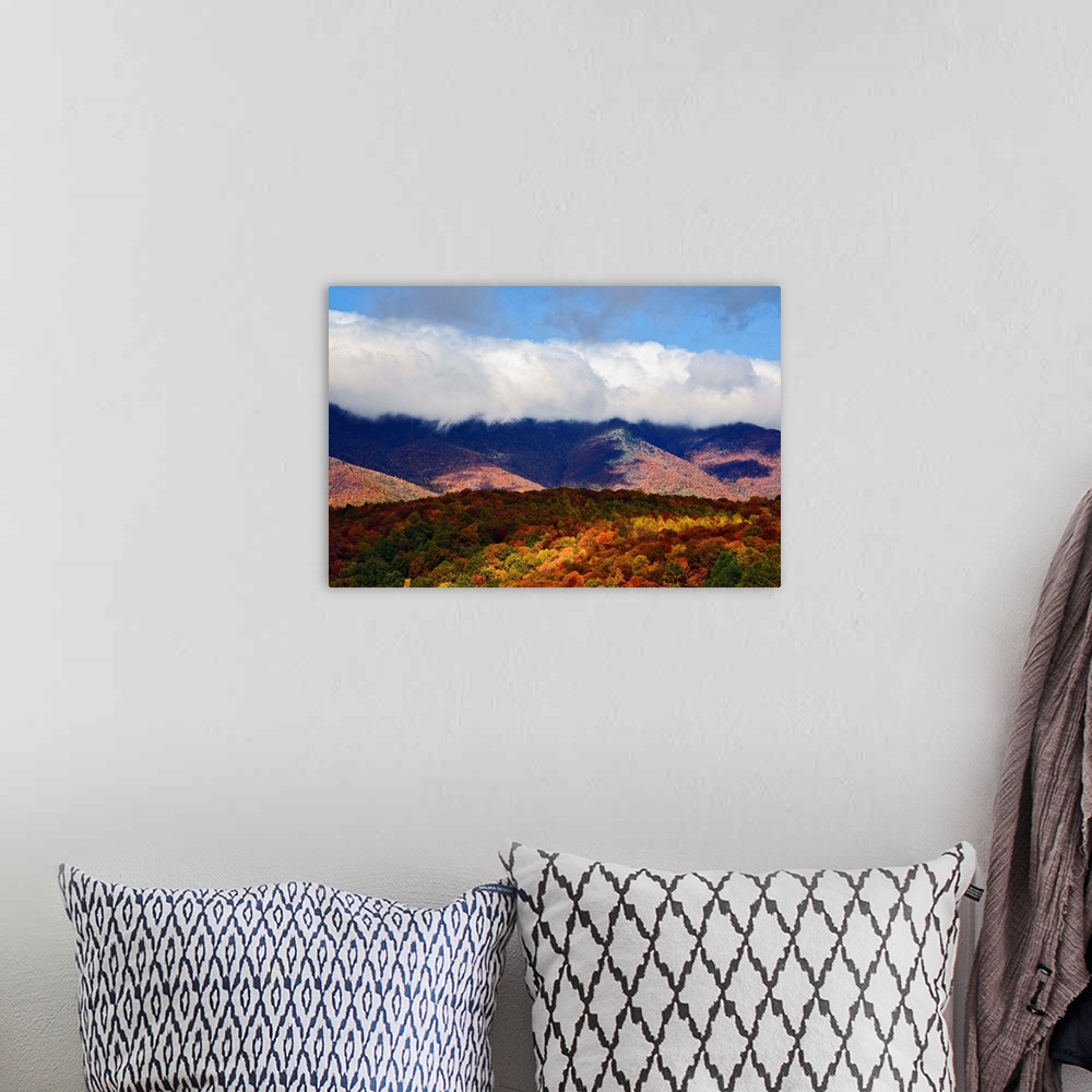 A bohemian room featuring Autumn view of Southern Appalachian Mountains from Blue Ridge Parkway, near Grandfather Mountain,...