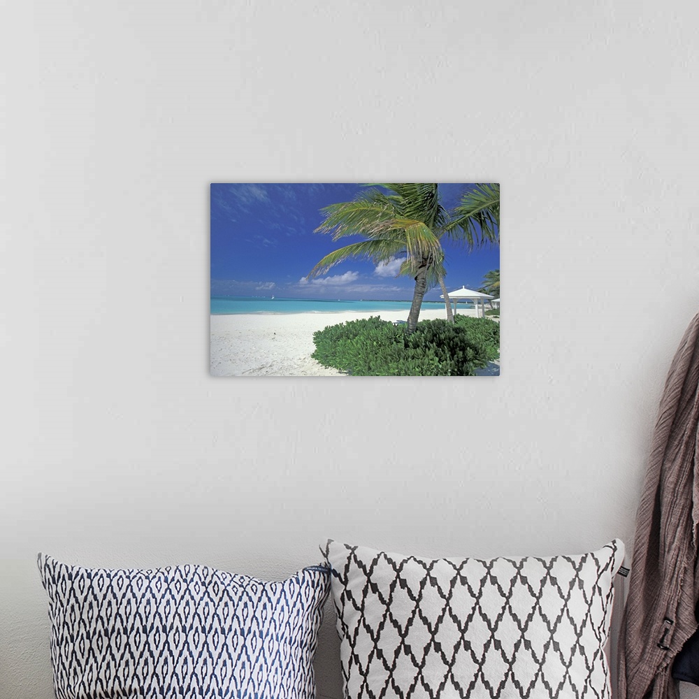 A bohemian room featuring Bahamas, Long Island, Cape Santa Maria.Palms along the pristine beach