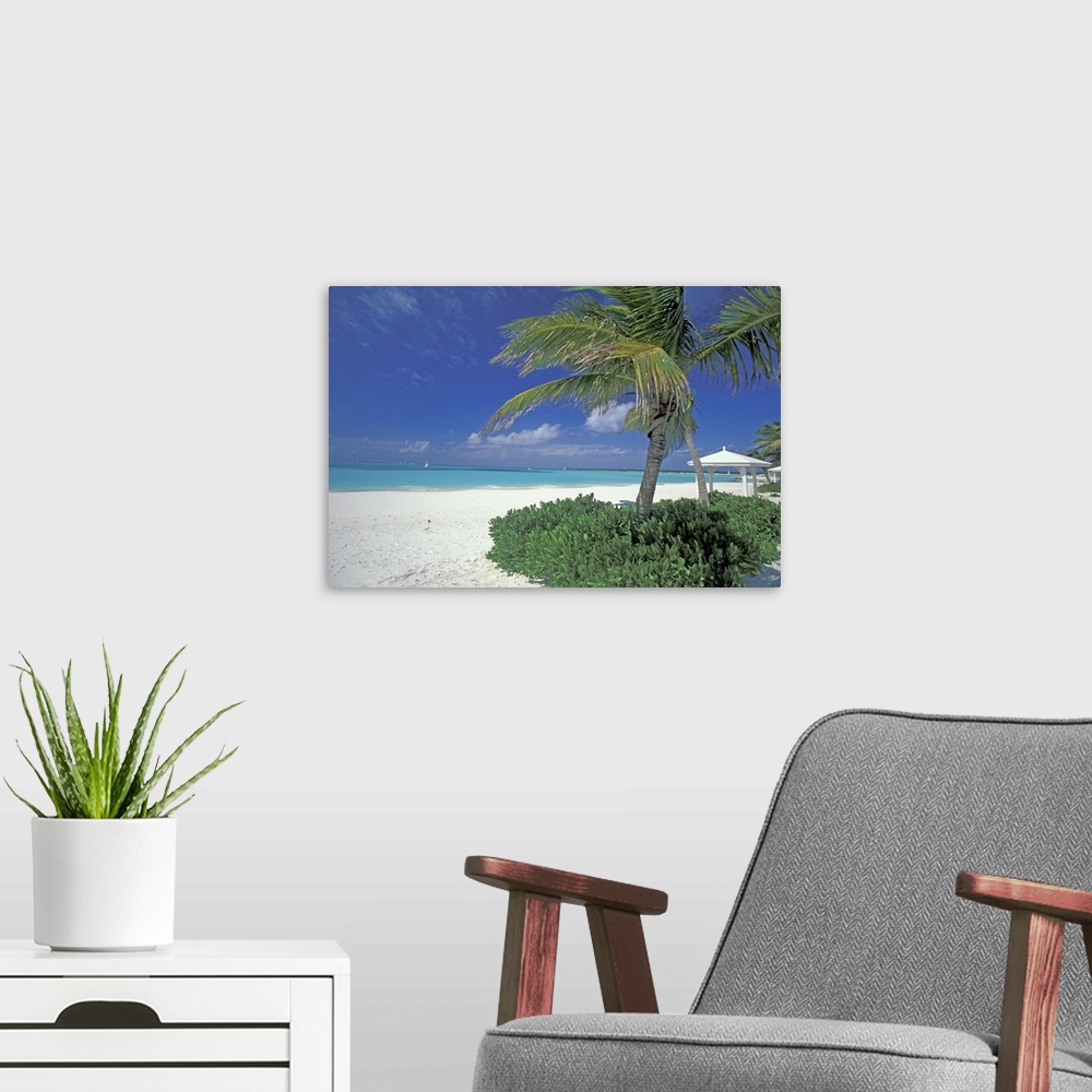 A modern room featuring Bahamas, Long Island, Cape Santa Maria.Palms along the pristine beach
