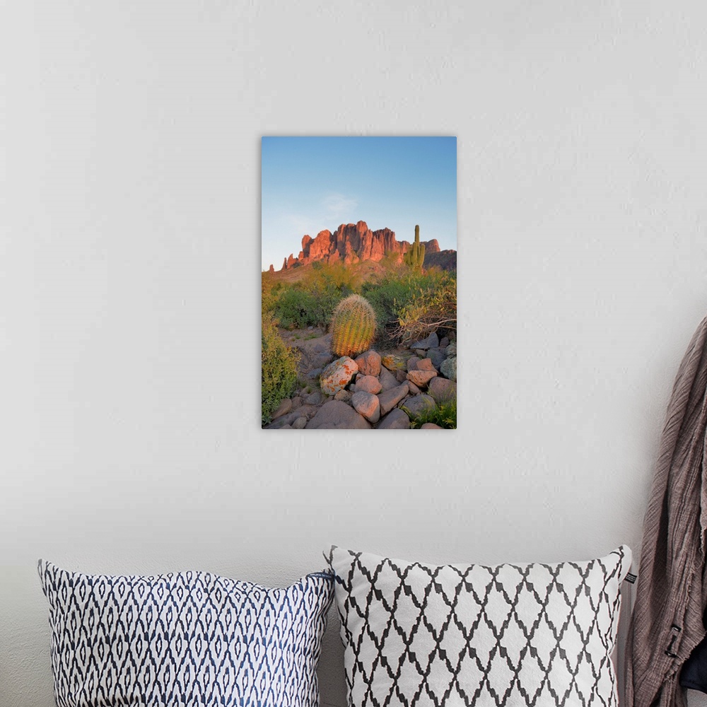 A bohemian room featuring USA, Arizona, Lost Dutchman State Park, Barrel Cactus in front of the Superstition Mountains.