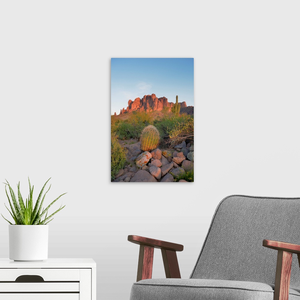A modern room featuring USA, Arizona, Lost Dutchman State Park, Barrel Cactus in front of the Superstition Mountains.