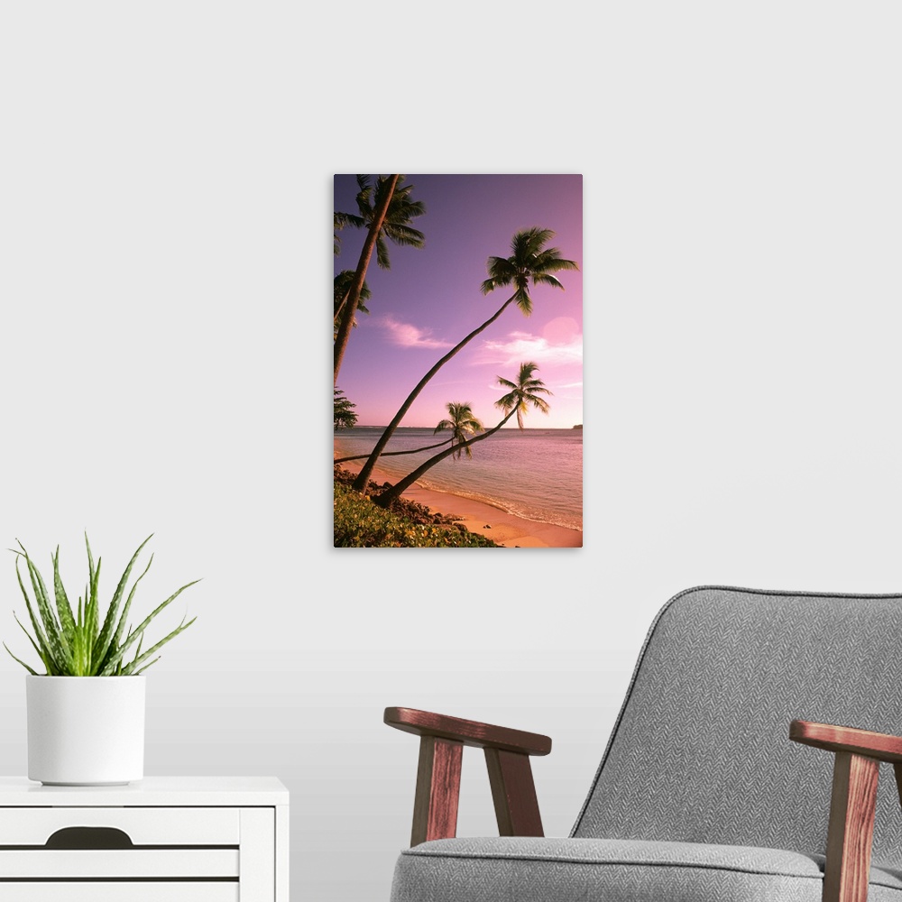 A modern room featuring Beautiful Beach and Palms Nadi Bay Area in the Fiji Islands.