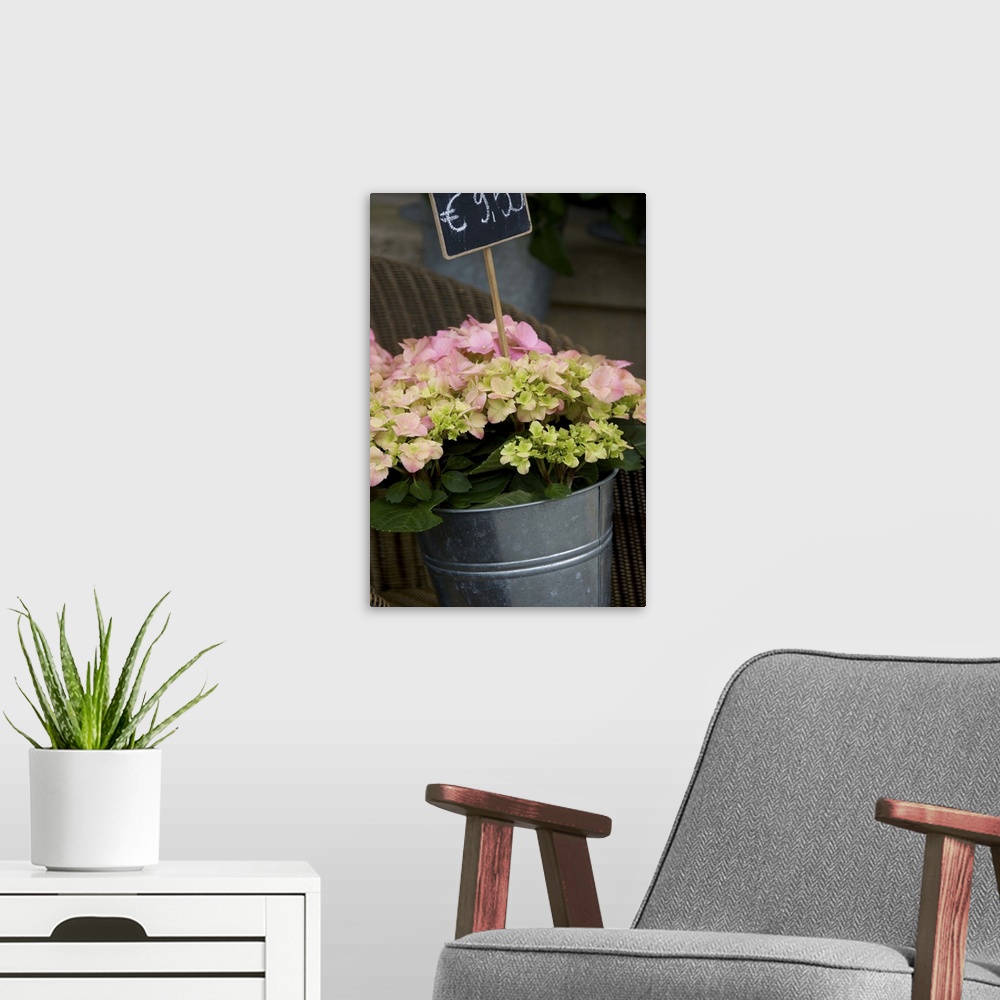 A modern room featuring Europe, Belgium, West Flanders, Bruges, flowers for sale