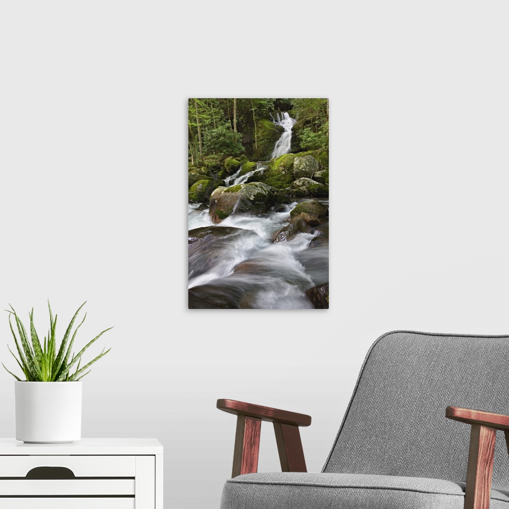 A modern room featuring Big Creek and Mousecreek Falls, Great Smoky Mountains National Park, North Carolina