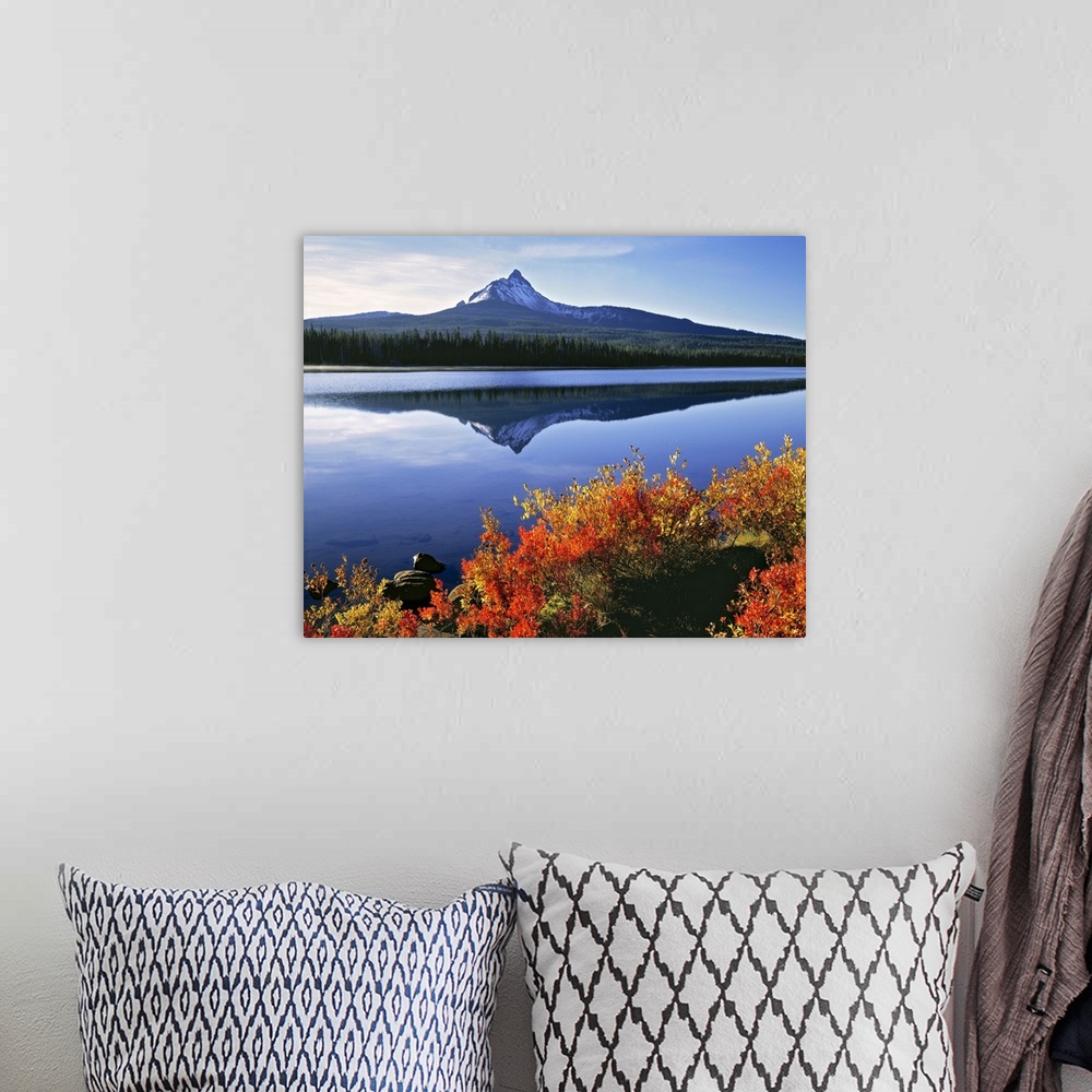 A bohemian room featuring USA, Oregon, Big Lake and Mt Washington. Huckleberry leaves are touched by the orange of autumn, ...