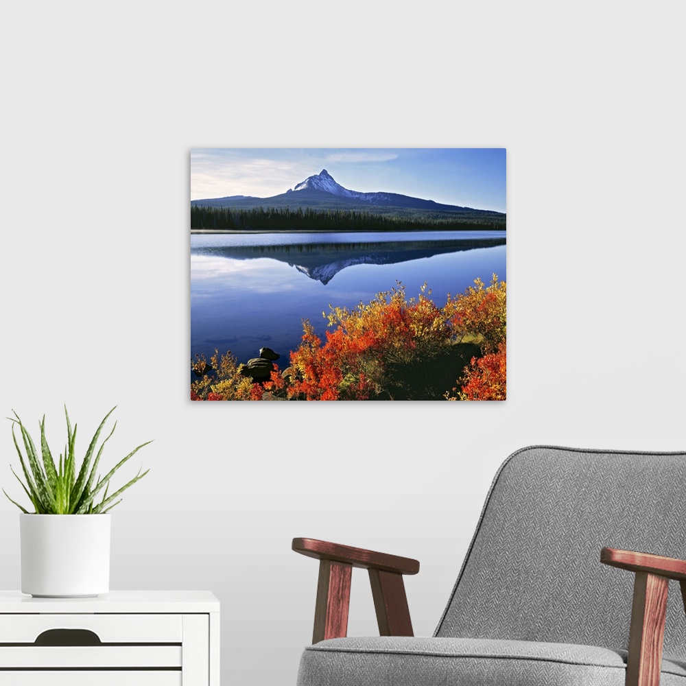 A modern room featuring USA, Oregon, Big Lake and Mt Washington. Huckleberry leaves are touched by the orange of autumn, ...