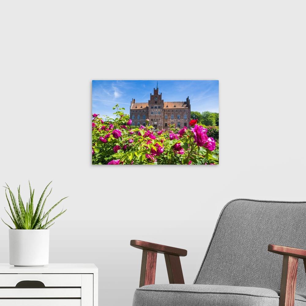 A modern room featuring Blooming roses before Castle Egeskov, Denmark.