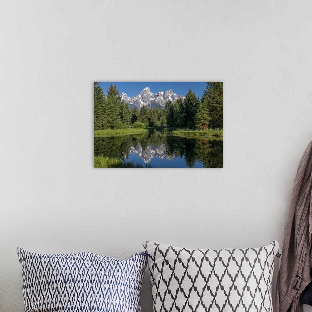 A bohemian room featuring Blue spruce trees and the Grand Tetons, Schwabacher Landing, Grand Teton National Park, Wyoming, ...
